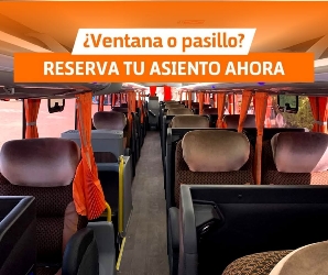 Bus interior