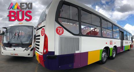 Bus Exterior