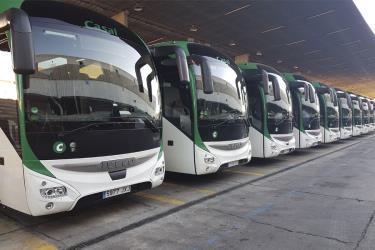 Fleet of buses front view