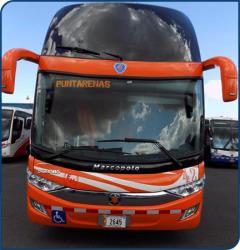 Bus Exterior