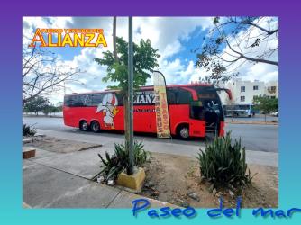 Bus Exterior