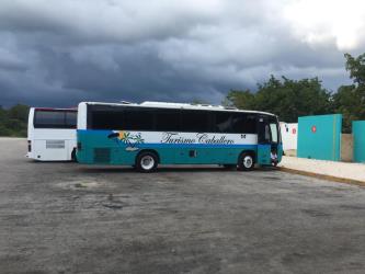 Bus Exterior