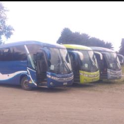 Bus Exterior