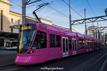 Tram Monochrome Rose