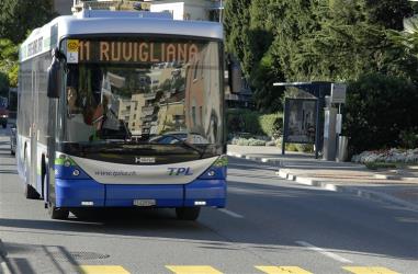 Suburban bus