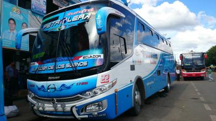 Bus exterior