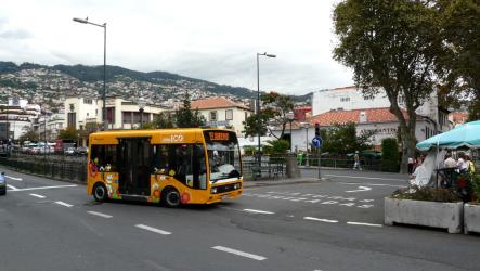 Eco Line bus