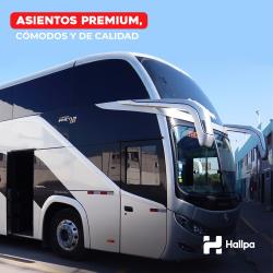 Bus exterior