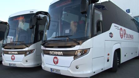 Polonus buses