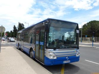 TaM Bus