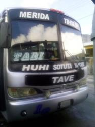 Bus Exterior