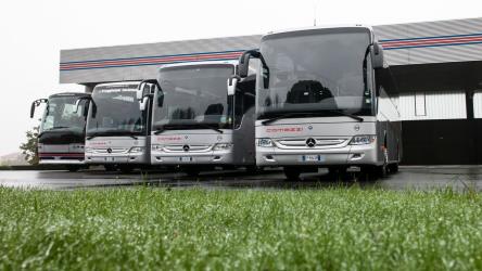 Fleet of buses front view