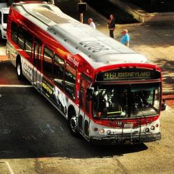 Bus exterior