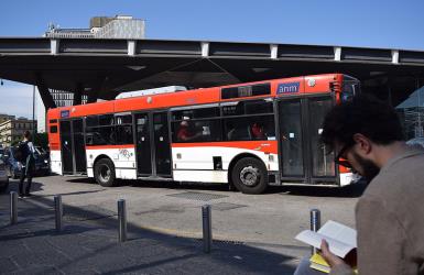 Bus side view