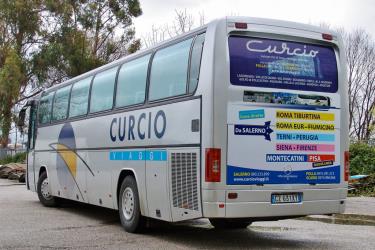 Curico bus