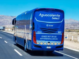 Bus Exterior