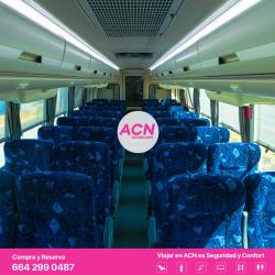 Bus Interior