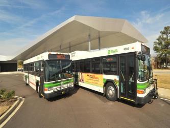 Bus exterior