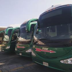 Bus Exterior