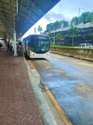 Bus exterior