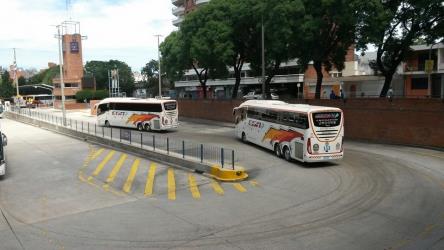 Bus Fleet