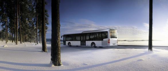 Bus exterior