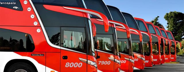 Bus Exterior
