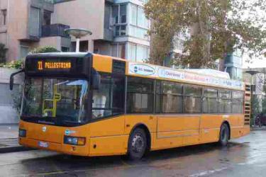 Bus exterior