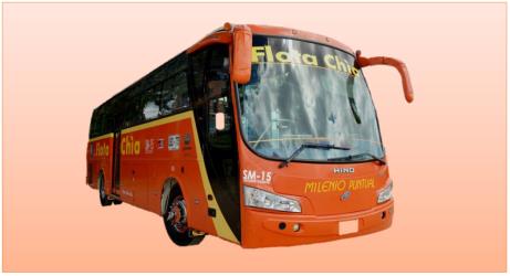 Bus Exterior