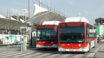 Alibus front bus