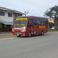 Bus Exterior