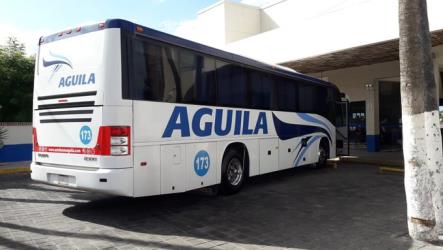 Bus exterior
