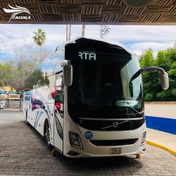 Bus exterior