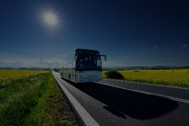 Bus exterior