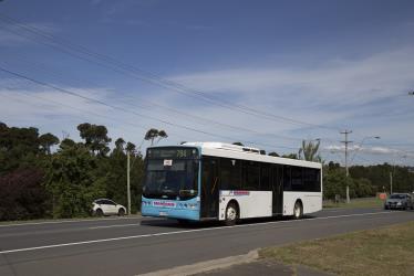 Bus Exterior