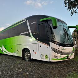 Bus Exterior