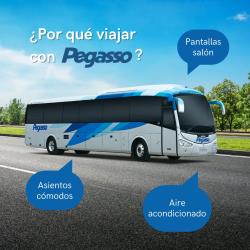 Bus Exterior