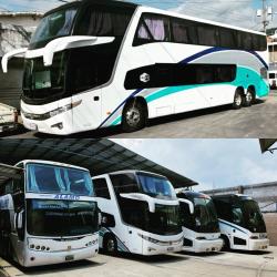 Bus exterior