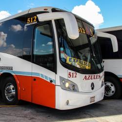 Bus exterior