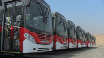 Bus fleet