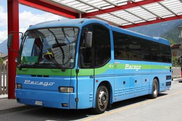 Perego Bus