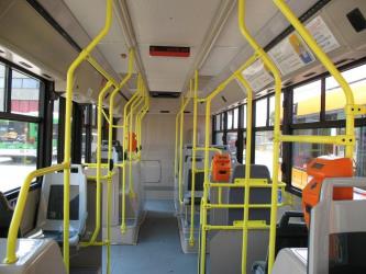 Inside STP bus