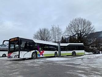 Gelenkbusse