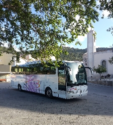 Bus exterior