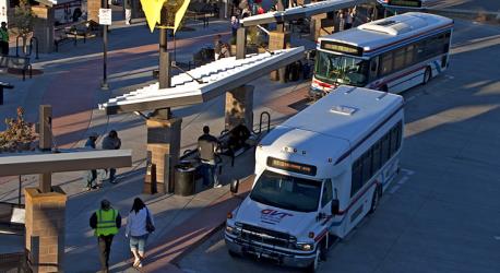 Buses bird view