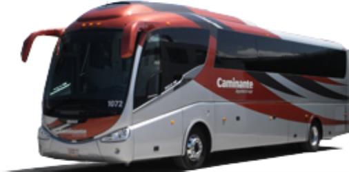 Bus Exterior