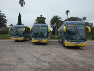 Bus Fleet
