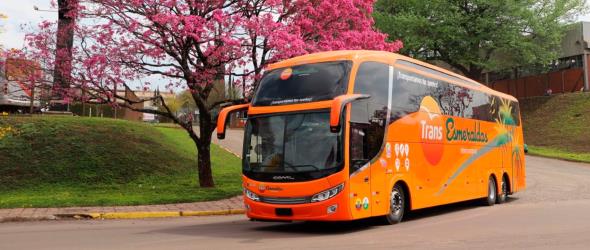 Bus Exterior