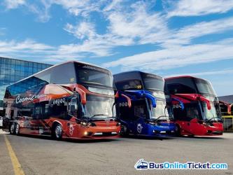 Bus Exterior