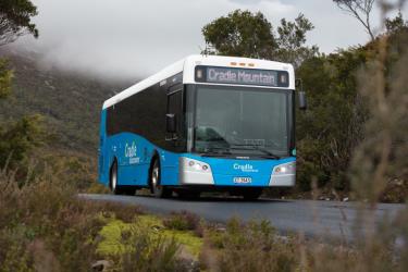 Bus Exterior